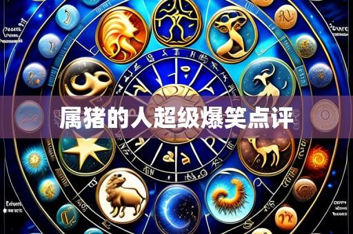 属猪的人超级爆笑点评