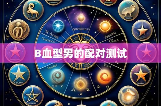 B血型男的配对测试