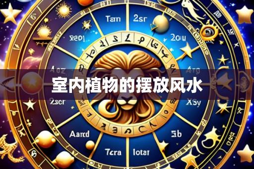 室内植物的摆放风水