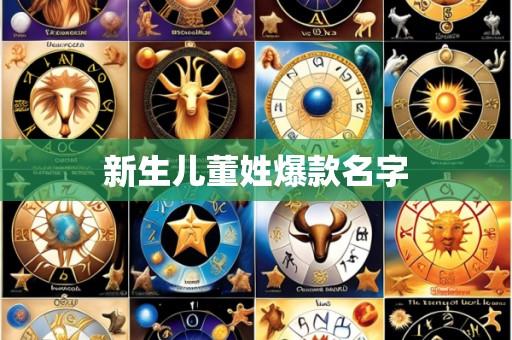 新生儿董姓爆款名字