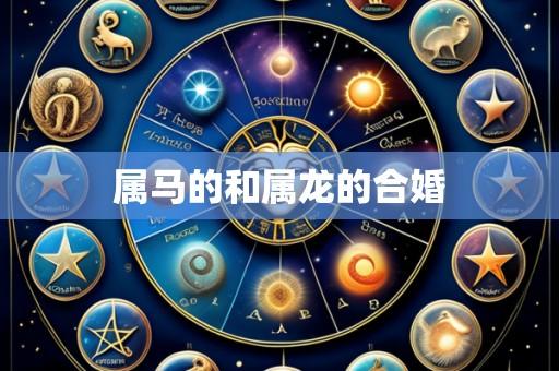 属马的和属龙的合婚