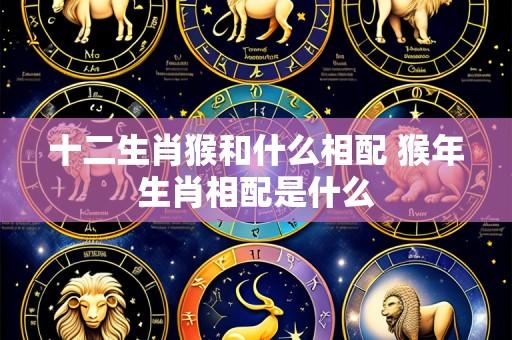 十二生肖猴和什么相配 猴年生肖相配是什么
