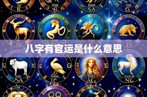 八字有官运是什么意思