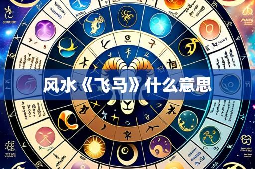 风水《飞马》什么意思