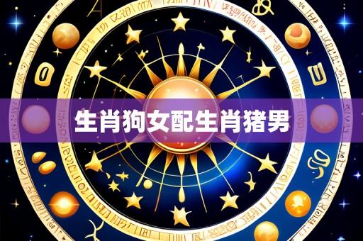 生肖狗女配生肖猪男