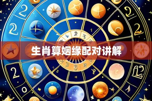 生肖算姻缘配对讲解
