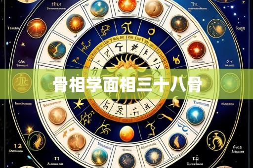 骨相学面相三十八骨