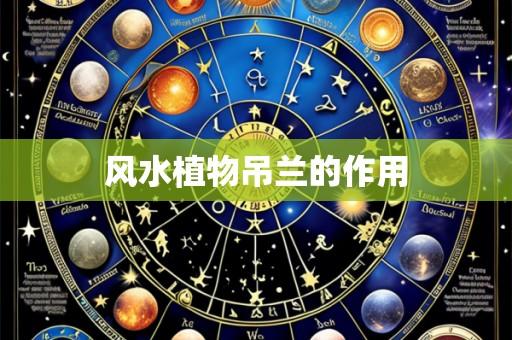 风水植物吊兰的作用
