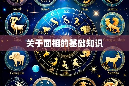 关于面相的基础知识