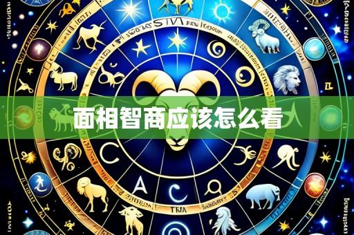 面相智商应该怎么看