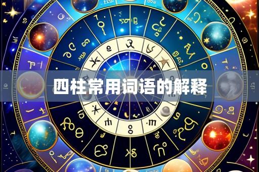四柱常用词语的解释