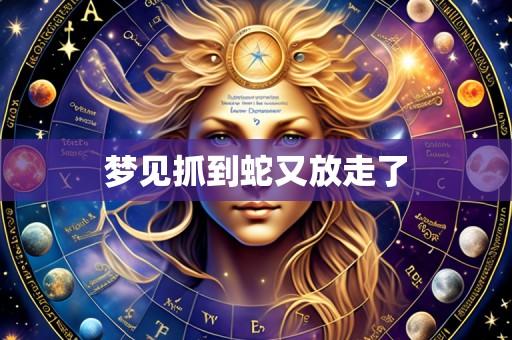 梦见抓到蛇又放走了