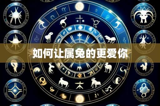 如何让属兔的更爱你