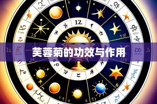 芙蓉菊的功效与作用