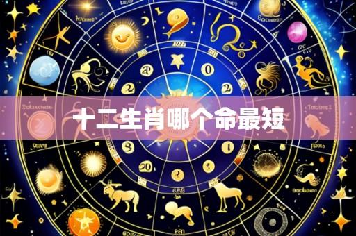 十二生肖哪个命最短