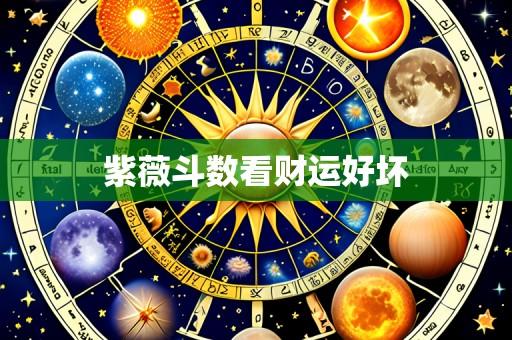紫薇斗数看财运好坏