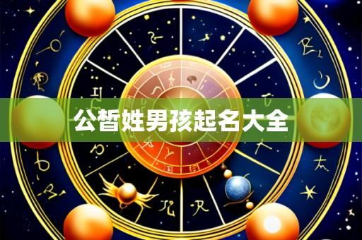 公皙姓男孩起名大全