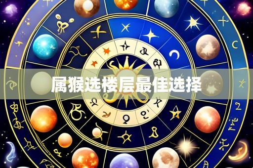 属猴选楼层最佳选择