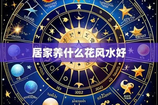 居家养什么花风水好