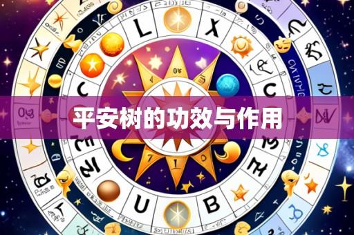 平安树的功效与作用