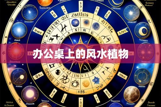 办公桌上的风水植物