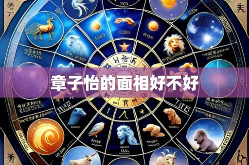 章子怡的面相好不好
