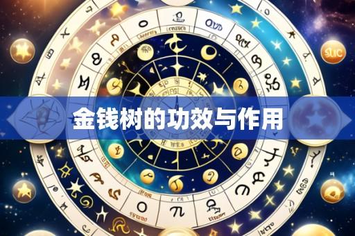 金钱树的功效与作用