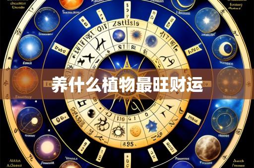 养什么植物最旺财运