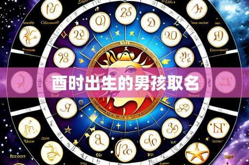 酉时出生的男孩取名