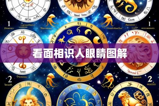 看面相识人眼睛图解