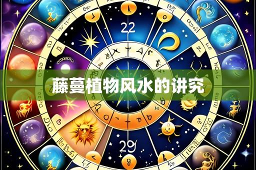 藤蔓植物风水的讲究