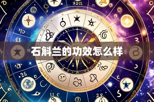 石斛兰的功效怎么样