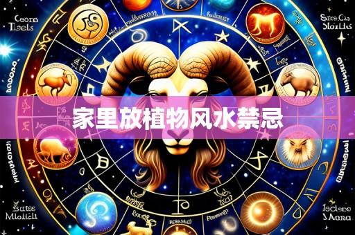 家里放植物风水禁忌