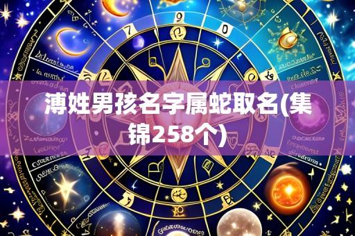 溥姓男孩名字属蛇取名(集锦258个)