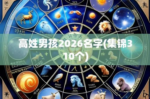 高姓男孩2026名字(集锦310个)