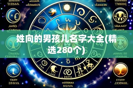 姓向的男孩儿名字大全(精选280个)
