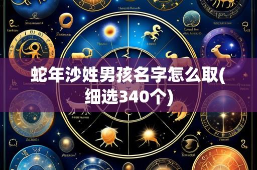 蛇年沙姓男孩名字怎么取(细选340个)
