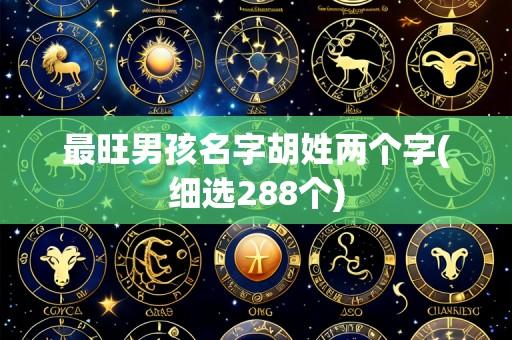 最旺男孩名字胡姓两个字(细选288个)