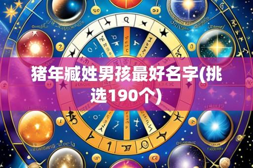 猪年臧姓男孩最好名字(挑选190个)